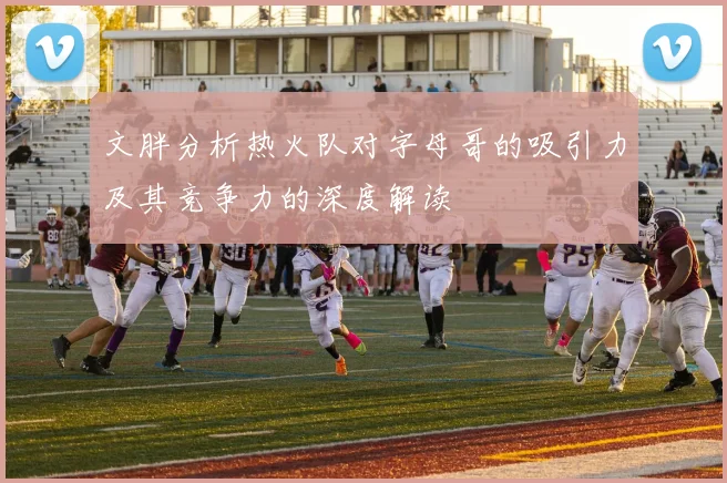 文胖分析热火队对字母哥的吸引力及其竞争力的深度解读