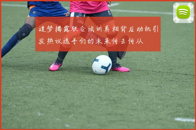 追梦揭露联合试训真相背后动机引发热议选手们的未来何去何从