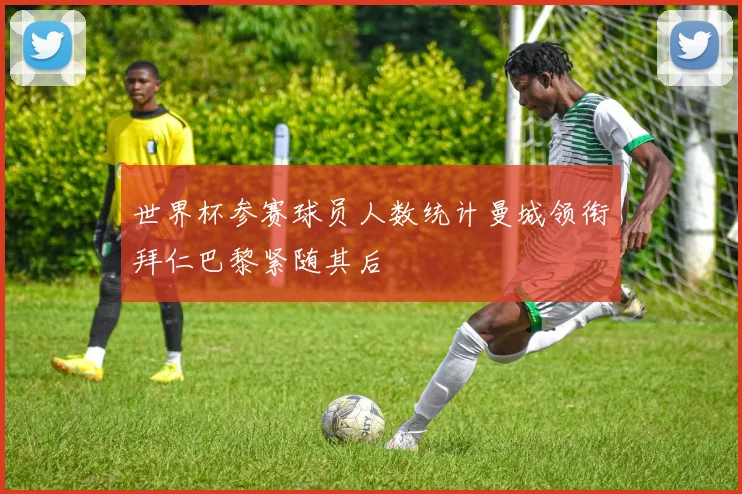世界杯参赛球员人数统计曼城领衔拜仁巴黎紧随其后