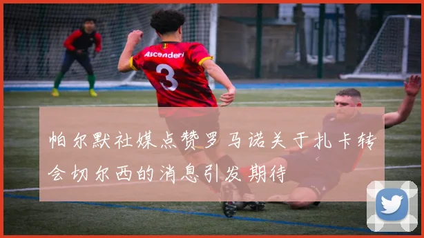 帕尔默社媒点赞罗马诺关于扎卡转会切尔西的消息引发期待